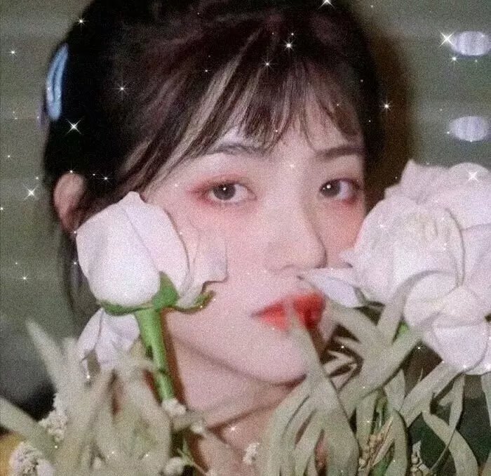 胡杨女人封面